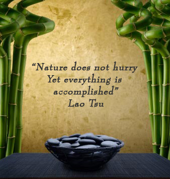Nature does not hurry yet everything is accomplished. -Lao Tsu